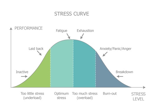 Stress Curve