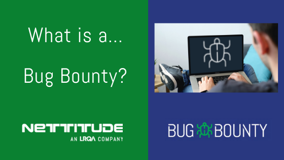 What is a Bug Bounty (3)